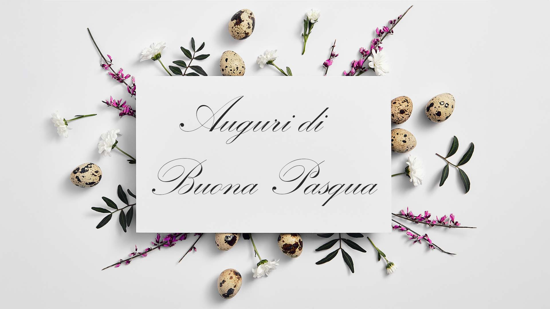 Auguri-di-buona-pasqua-obesitalia